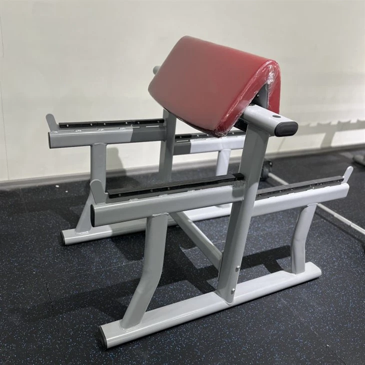 Arm Curl Bench：An Ideal Helper For Powerful Biceps Training manufacturers